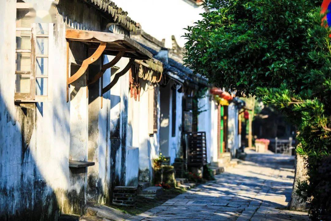 飙酷车神